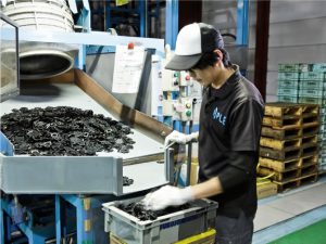 Đơn hàng đi xuất khẩu lao động Nhật lương cao