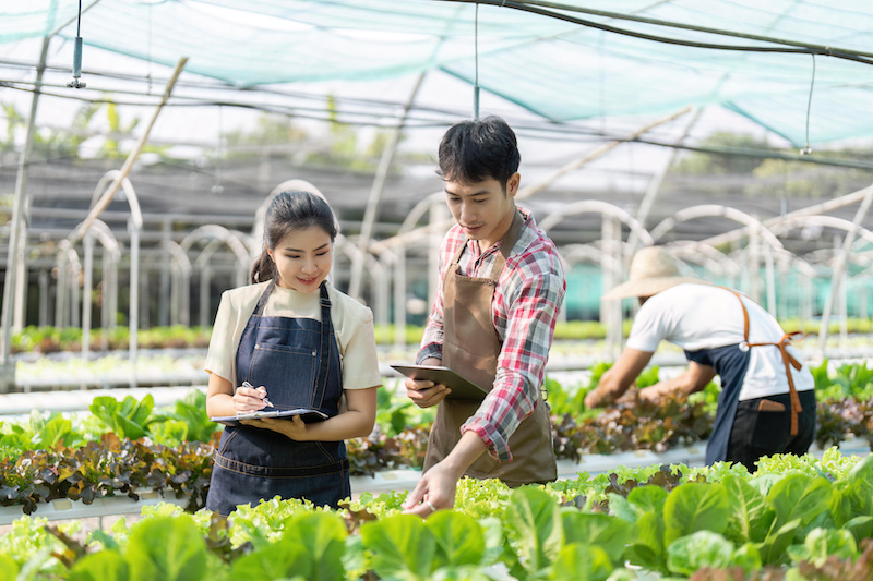 Bệnh viêm xoang nên tham gia đơn hàng nào