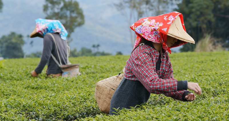 Cần chú ý những loại thiên tai gì khi đi lao động tại Nhật?